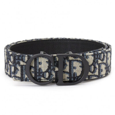 Dior CD Belt 35MM Multicolor