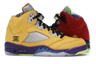 Air Jordan 5 Retro What The